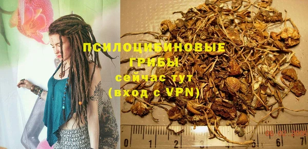 apvp Алексин